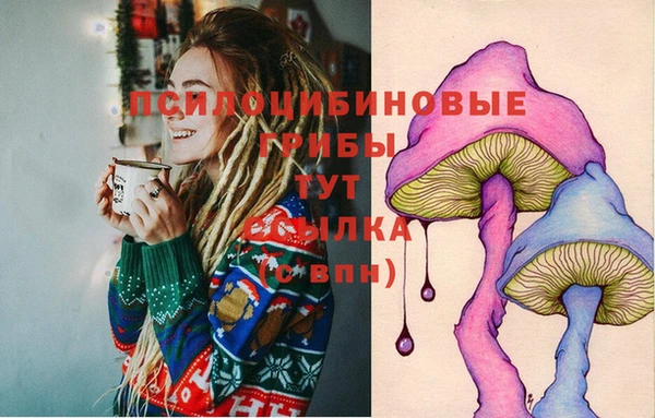 амф Алексеевка