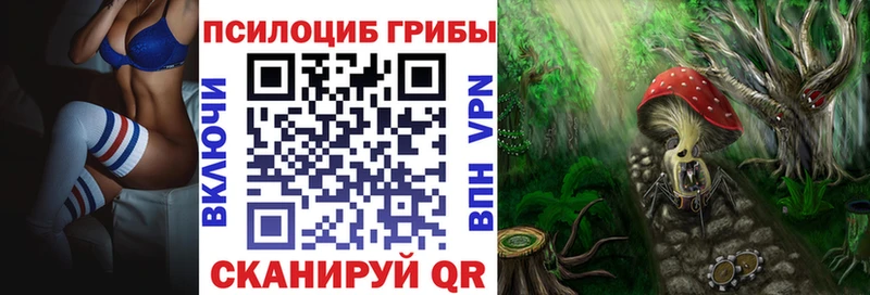 купить закладку  Грязовец  Галлюциногенные грибы Magic Shrooms 